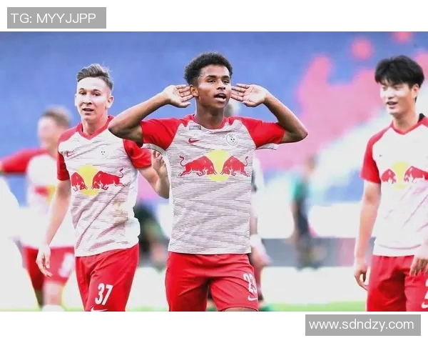 足球巨星完美谢幕退役之路 揭秘他们背后的成功与挑战