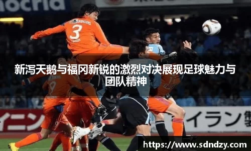 新泻天鹅与福冈新锐的激烈对决展现足球魅力与团队精神
